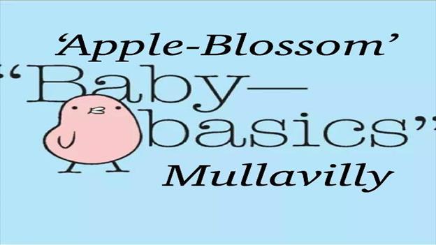 Baby Basics